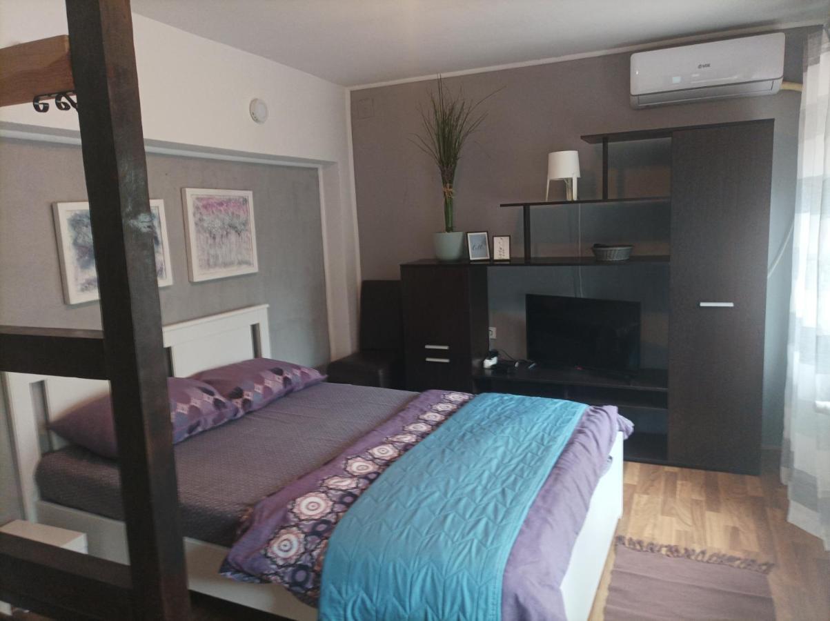 Vrnjačka Banja Apartmani Biljana Lazic מראה חיצוני תמונה