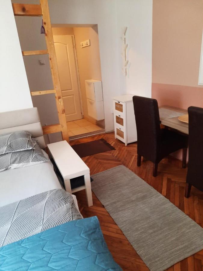 Vrnjačka Banja Apartmani Biljana Lazic מראה חיצוני תמונה
