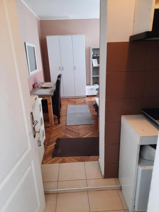 Vrnjačka Banja Apartmani Biljana Lazic מראה חיצוני תמונה
